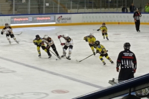 KARPACKA U12